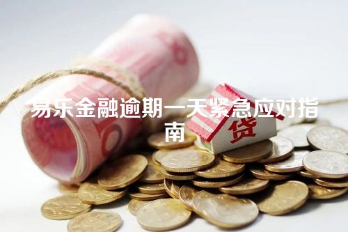 易乐金融逾期一天紧急应对指南