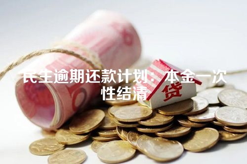 民生逾期还款计划：本金一次性结清