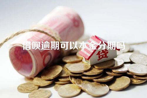 借呗逾期可以本金分期吗