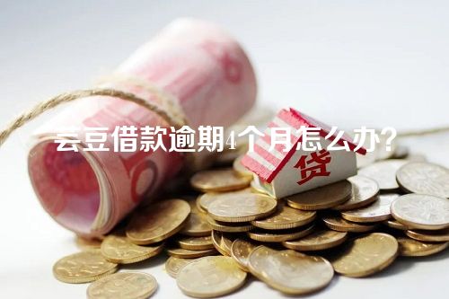 芸豆借款逾期4个月怎么办？