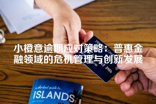 小橙意逾期应对策略：普惠金融领域的危机管理与创新发展