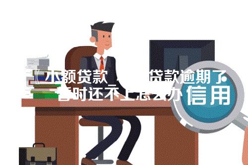 〖小额贷款_小额贷款逾期了暂时还不上怎么办〗