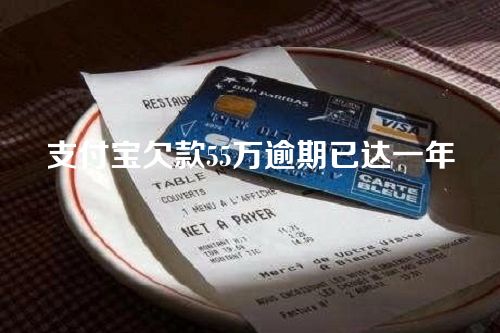 支付宝欠款55万逾期已达一年