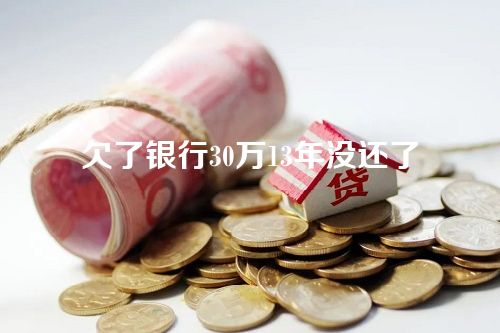 欠了银行30万13年没还了