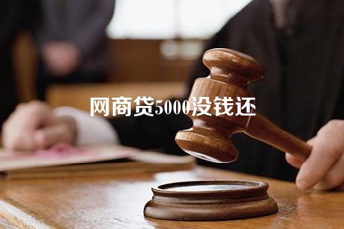 网商贷5000没钱还