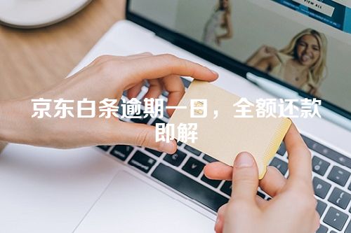 京东白条逾期一日，全额还款即解