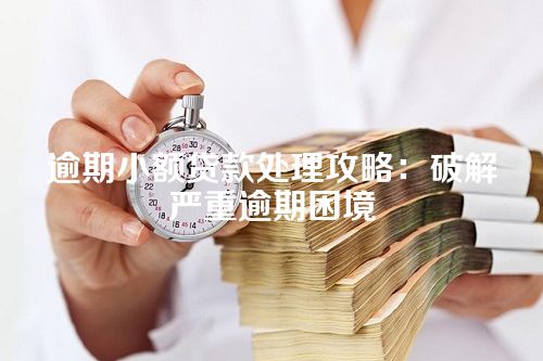 逾期小额贷款处理攻略：破解严重逾期困境