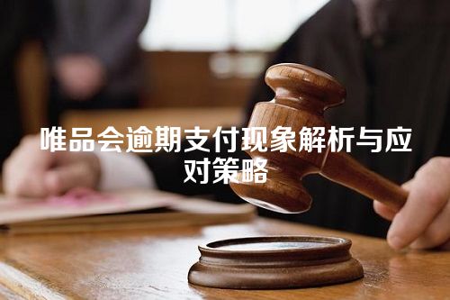 唯品会逾期支付现象解析与应对策略