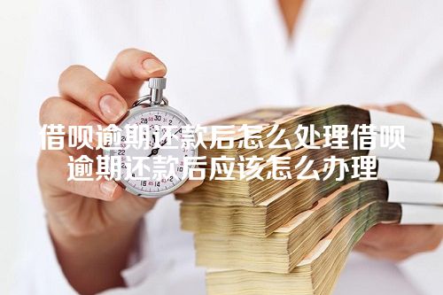 借呗逾期还款后怎么处理借呗逾期还款后应该怎么办理