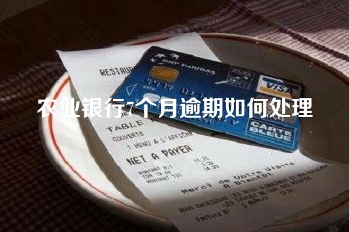 农业银行7个月逾期如何处理