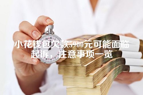 小花钱包欠款5900元可能面临起诉，注意事项一览