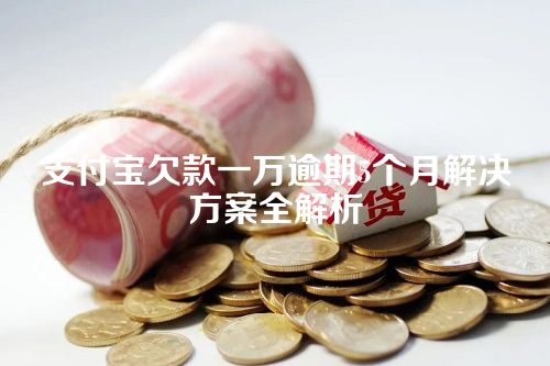 支付宝欠款一万逾期5个月解决方案全解析