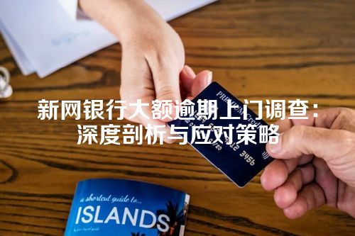 新网银行大额逾期上门调查：深度剖析与应对策略